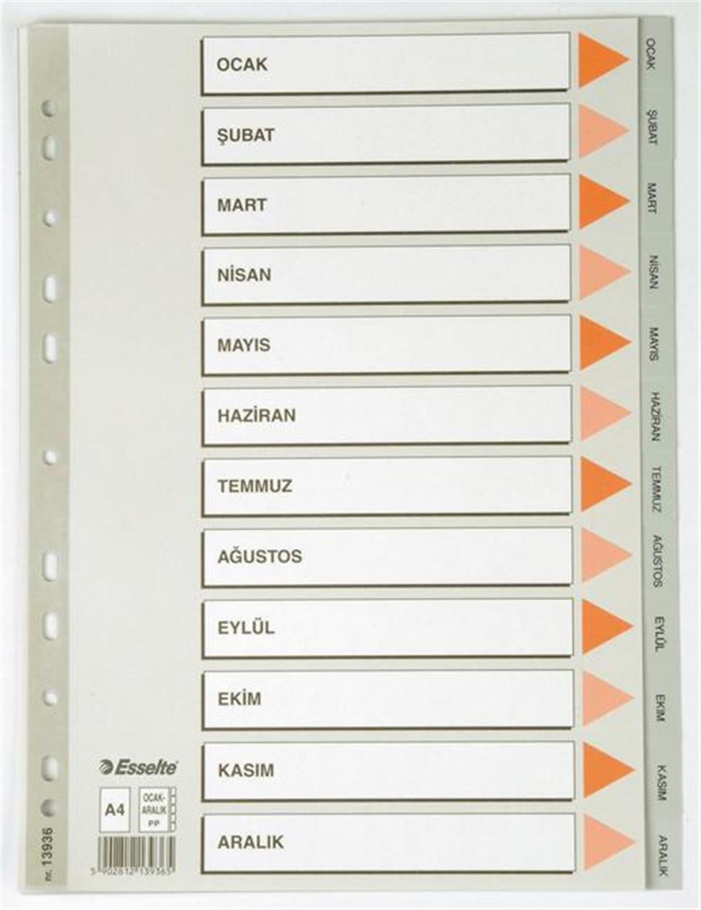 ESSELTE SEPERATÖR A4 AYLAR SLT-13936