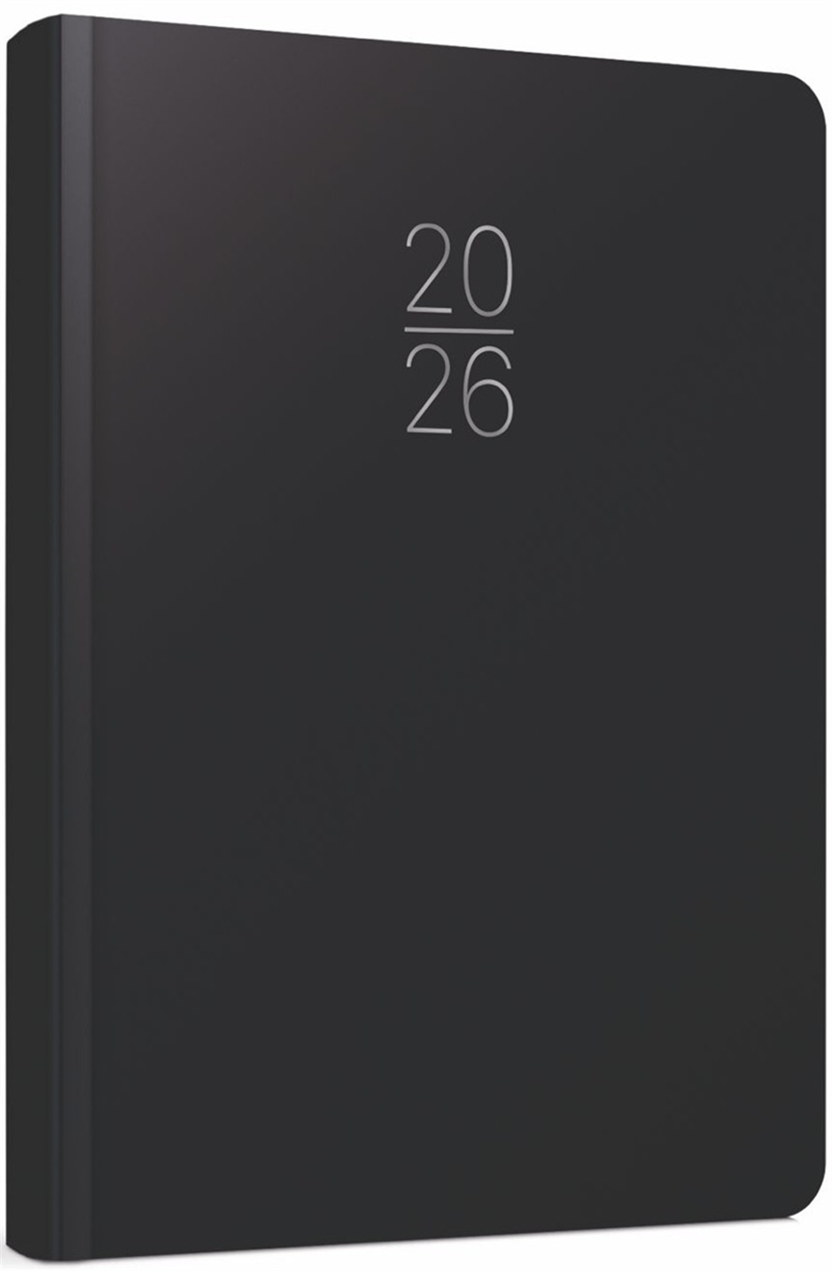 GIPTA AJANDA EKO.CİLT BEZİ 17X24 107-ECK