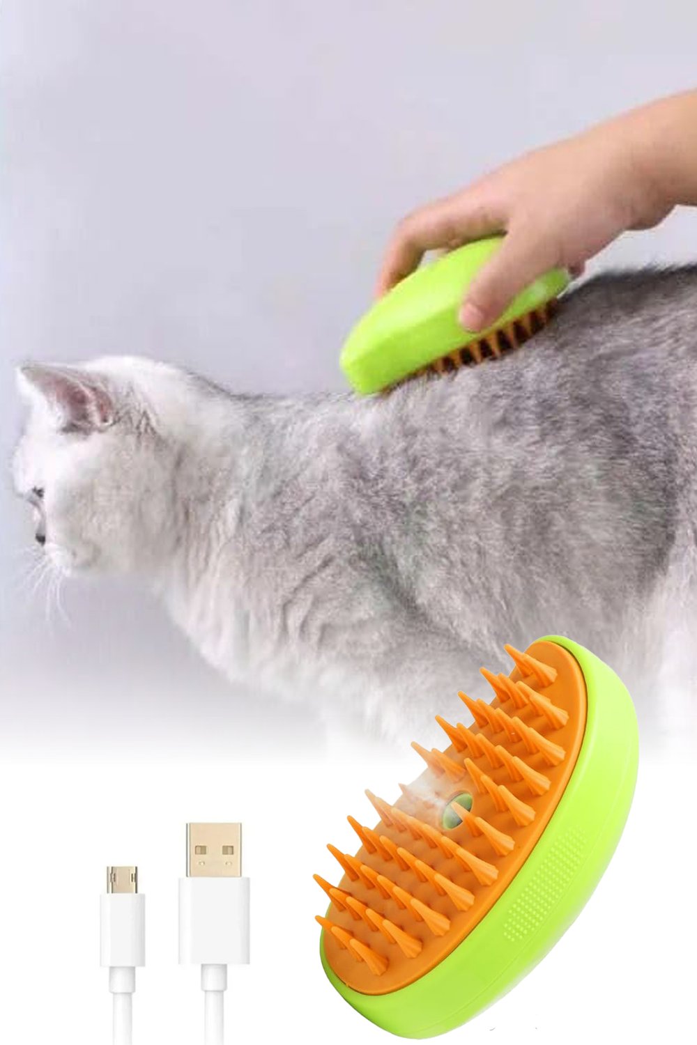 BUHARLI KEDI TARAGIII