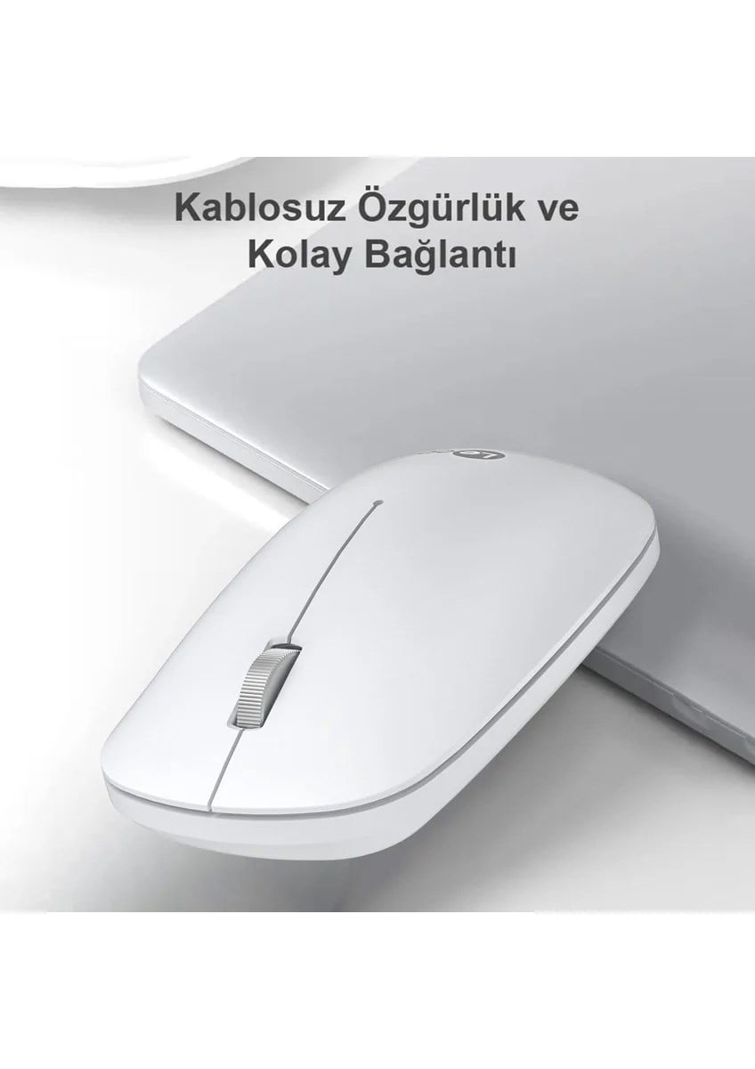 Lenovo Lecoo WS214 Sessiz Ergonomik Kablosuz Mouse – 2.4GHz Optik, USB Alıcılı, Hassas DPI, Ofis & Laptop Uyumlu (BEYAZ)
