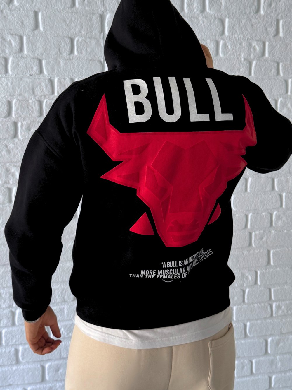Premium Kalite Oversize Kalıp Yüksek Kaliteli Baskı Sweatshirt- Siyah / SWT01