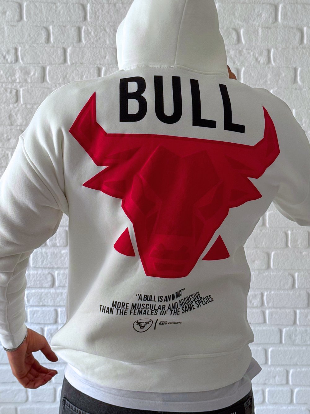 Premium Kalite Oversize Kalıp Yüksek Kaliteli Baskı Sweatshirt- Beyaz/ SWT01