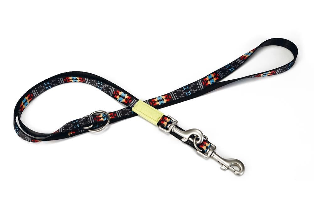 Beeztees Köpek Gezdirme Kayışı, Desenli, 200cm, 20mm