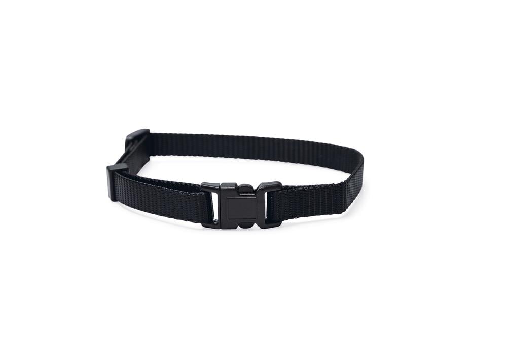 Beeztees Yavru Köpek Boyun Tasması, Çeşitli Renklerde, 22-35cm, 10mm