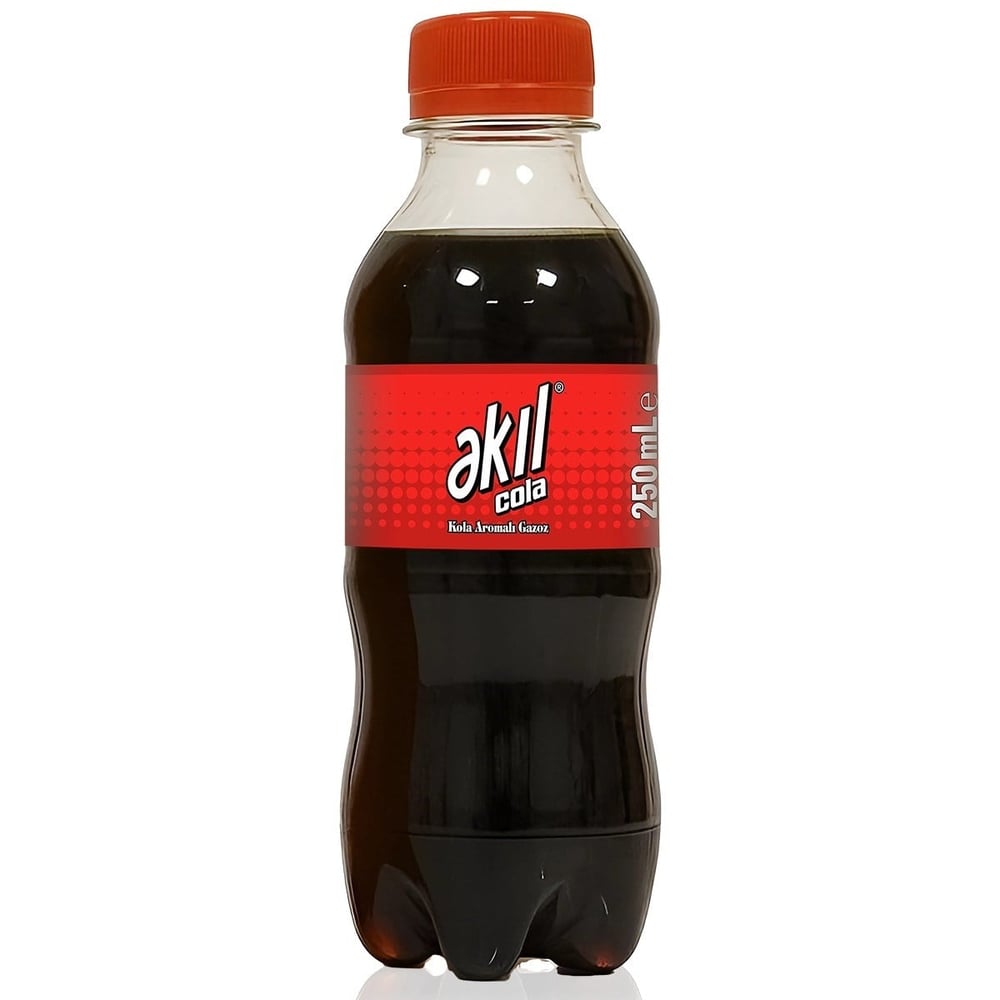 Akıl 250 ml Kola x24 lü Koli