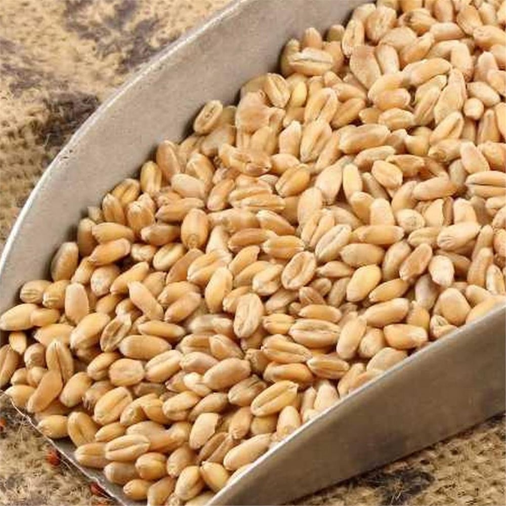 Özmenler Aşurelik Buğday 25 kg
