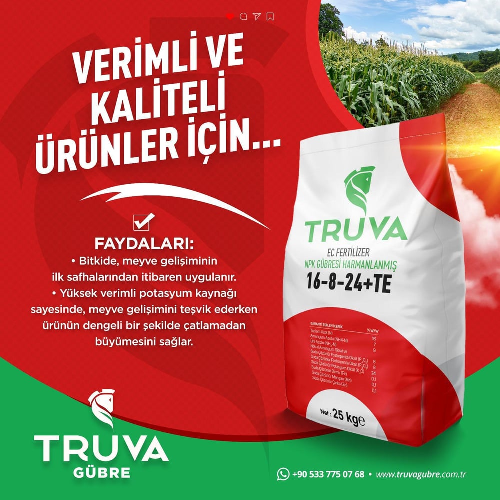 TRUVA 16-8-24+TE