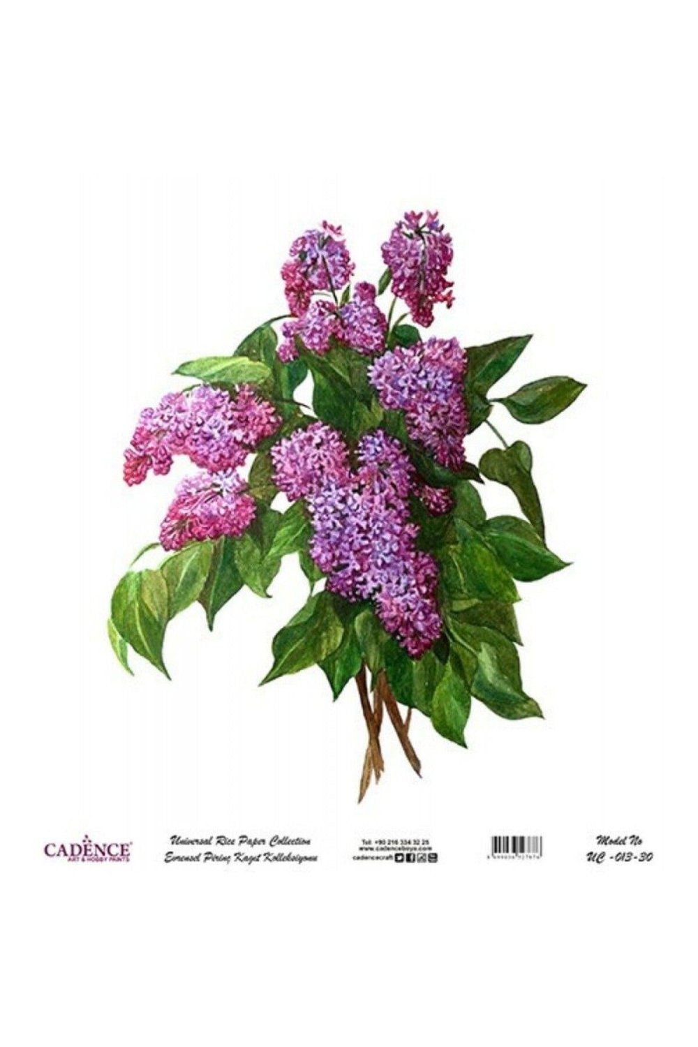 CADENCEEvrensel Pirinç Dekopaj - UC013 30X32