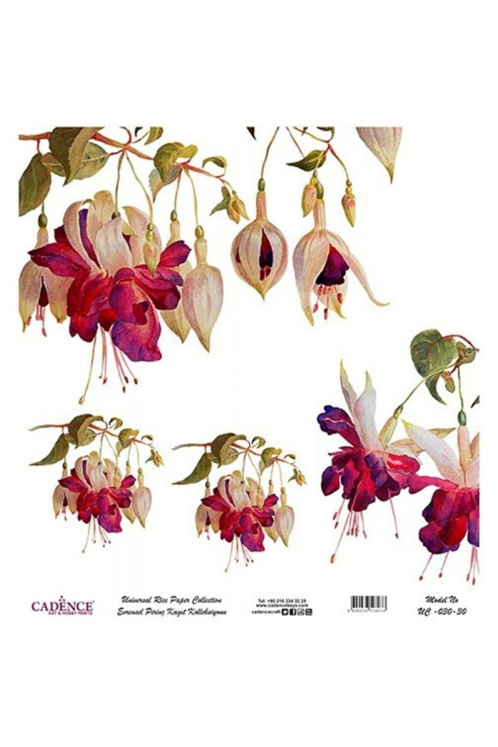 CADENCEEvrensel Pirinç Dekopaj - UC030 30X32