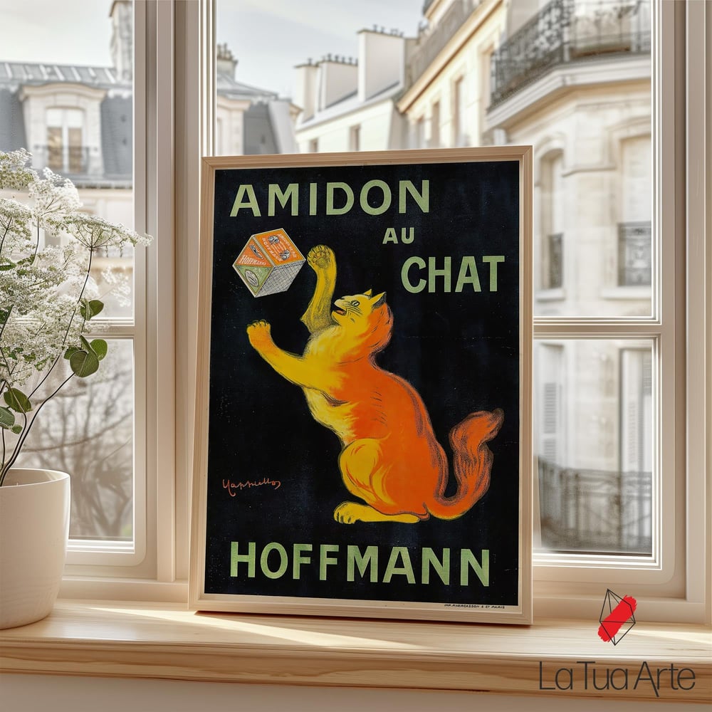 AMIDON AU CHAT