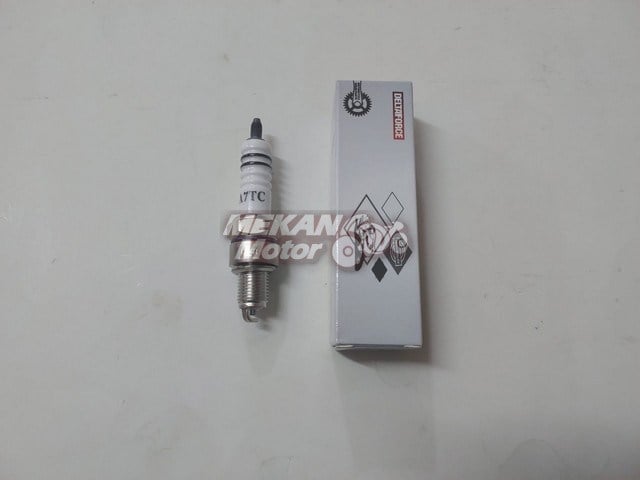 SPARK PLUG DELTAFORCE CUB KH 100