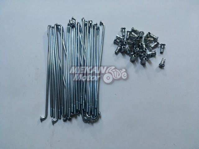 WHEEL SPEED 162-3,5 36 PIECES 1 RIM SCALE CUB