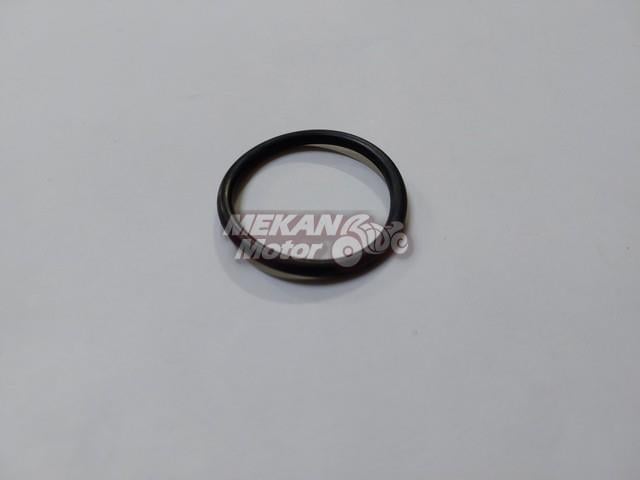 OIL PLUG RUBBER CG AGK
