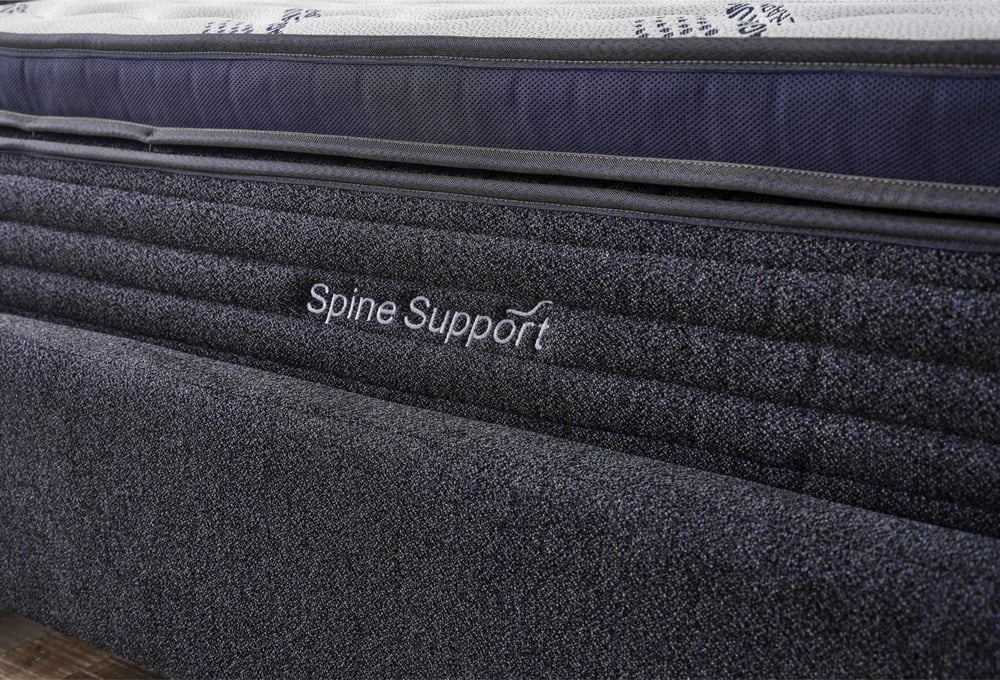 SPİNE SPORT