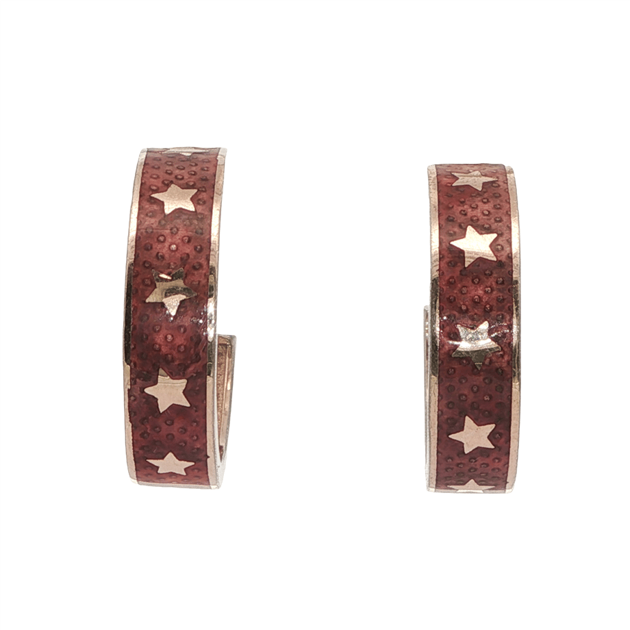 Acar Gold Gümüş Küpe - KP02251S