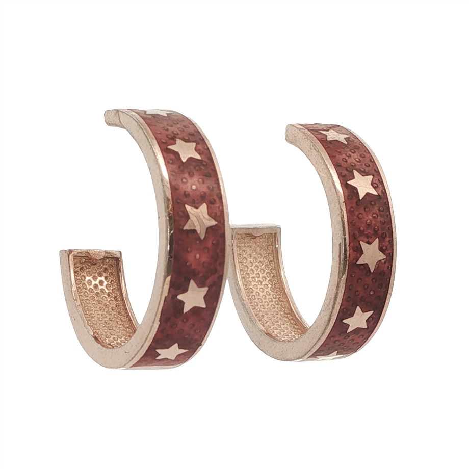 Acar Gold Gümüş Küpe - KP02251S