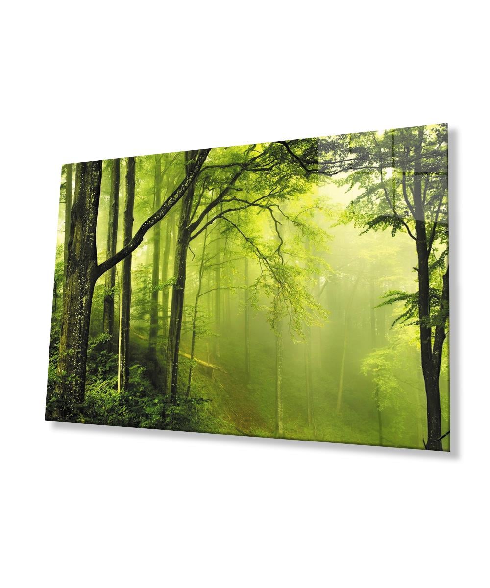 Ağaç Orman Yeşil Manzara Cam Tablo  4mm Dayanıklı Temperli Cam Tree Forest Green Landscape Glass Wall Art