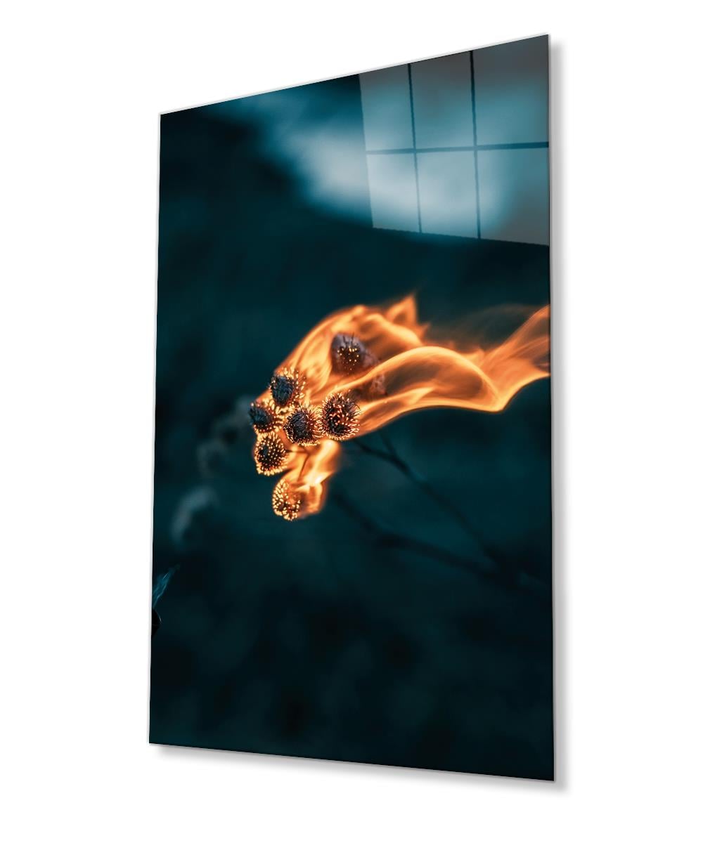Alevli Bitkiler Cam Tablo 4mm Dayanıklı Temperli Cam Fire Glass Painting