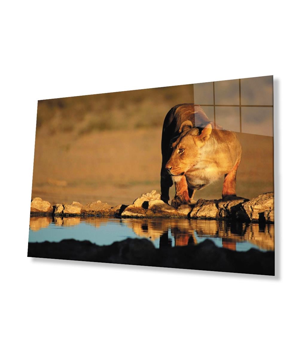 Aslan Cam Tablo  4mm Dayanıklı Temperli Cam