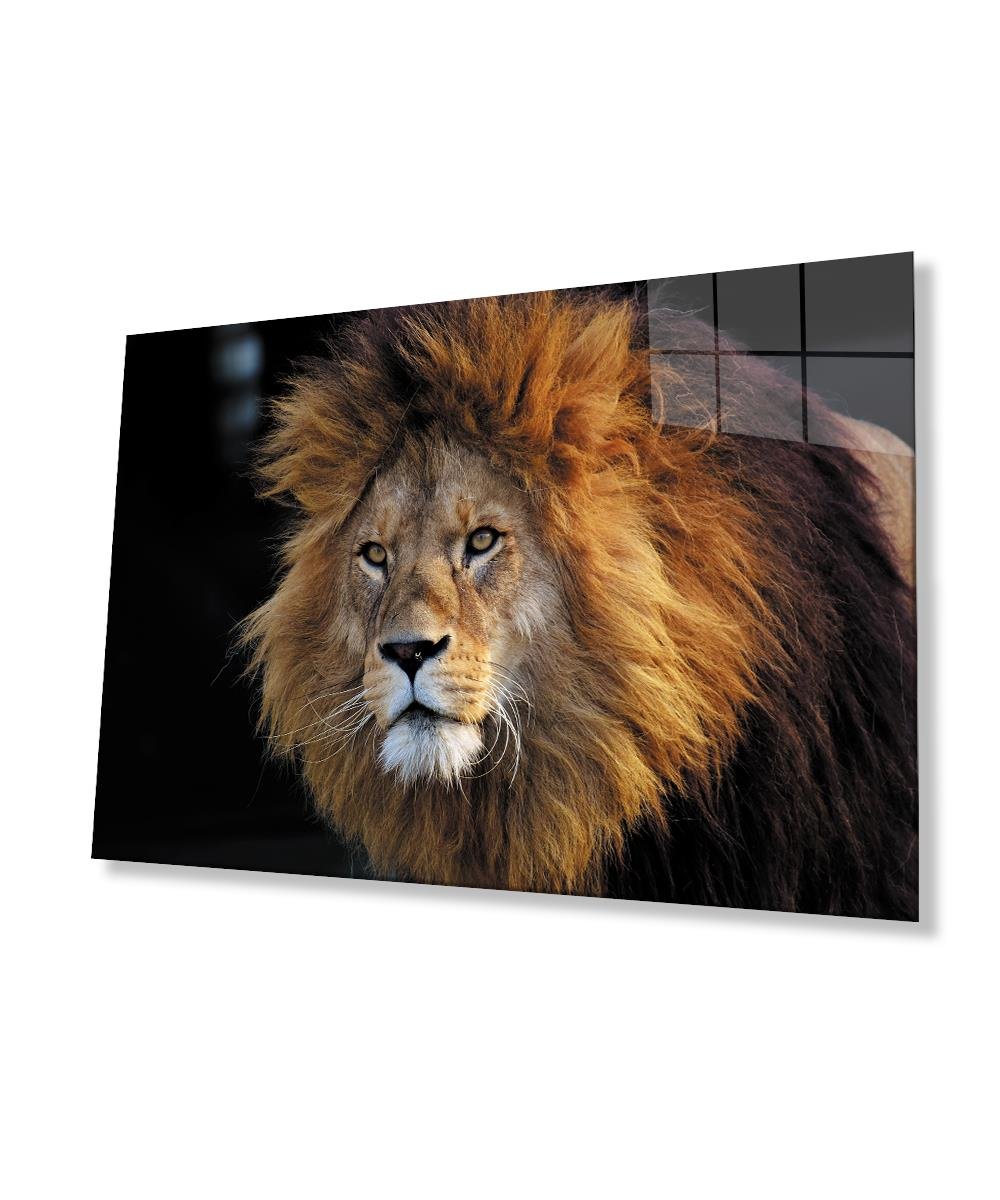Aslan Cam Tablo  4mm Dayanıklı Temperli Cam