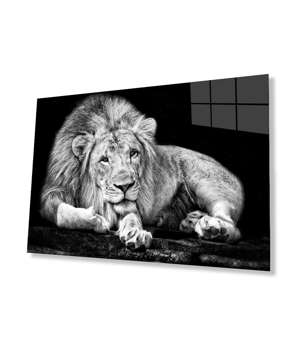 Aslan Cam Tablo  4mm Dayanıklı Temperli Cam