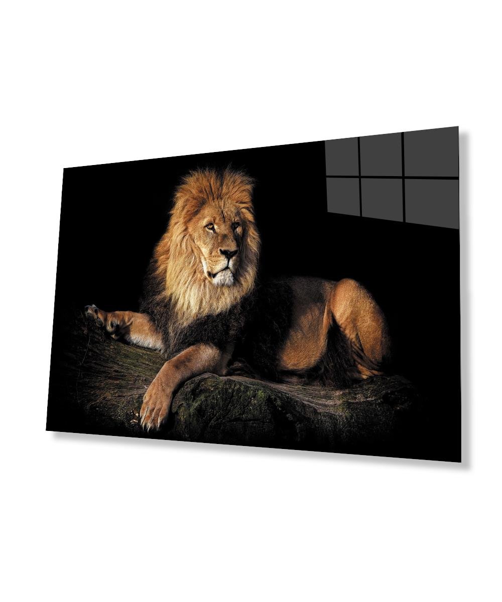 Aslan Cam Tablo  4mm Dayanıklı Temperli Cam