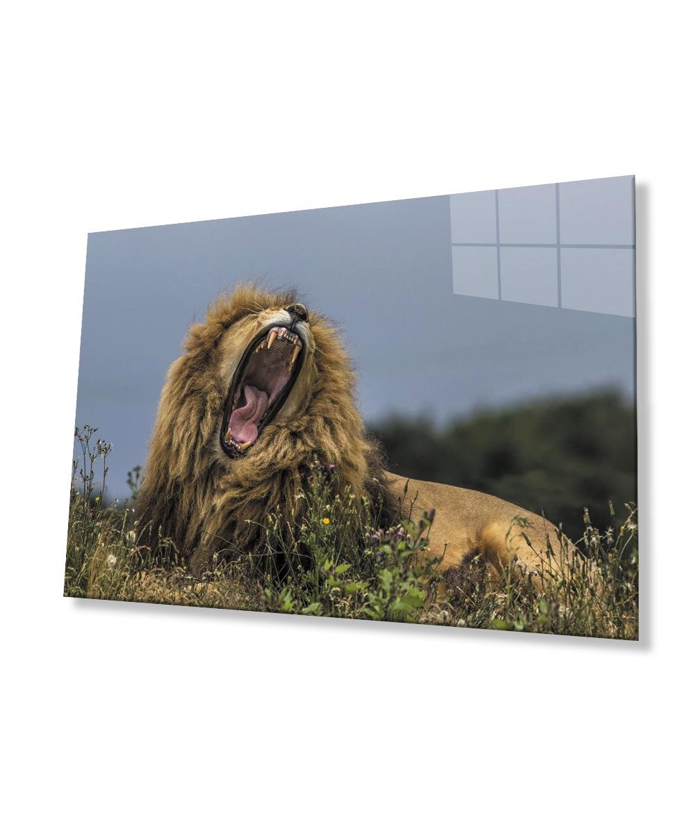 Aslan Cam Tablo  4mm Dayanıklı Temperli Cam