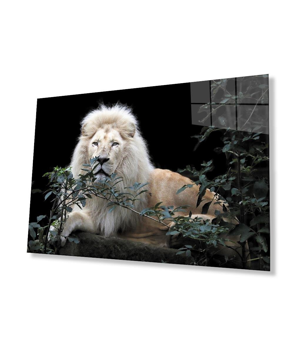 Aslan Cam Tablo  4mm Dayanıklı Temperli Cam