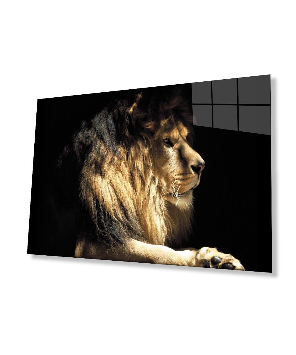 Aslan Cam Tablo  4mm Dayanıklı Temperli Cam