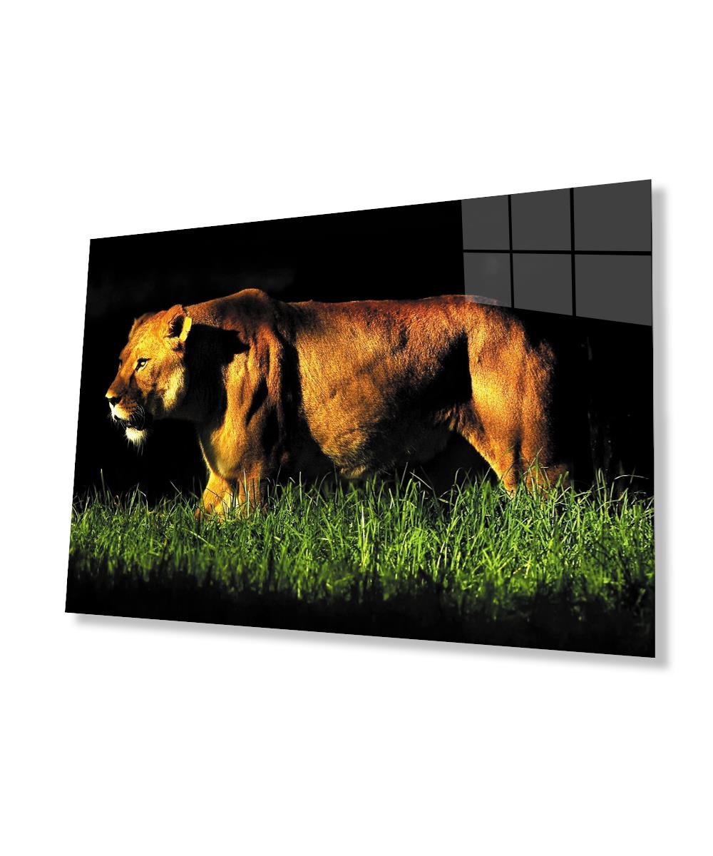 Aslan Cam Tablo  4mm Dayanıklı Temperli Cam