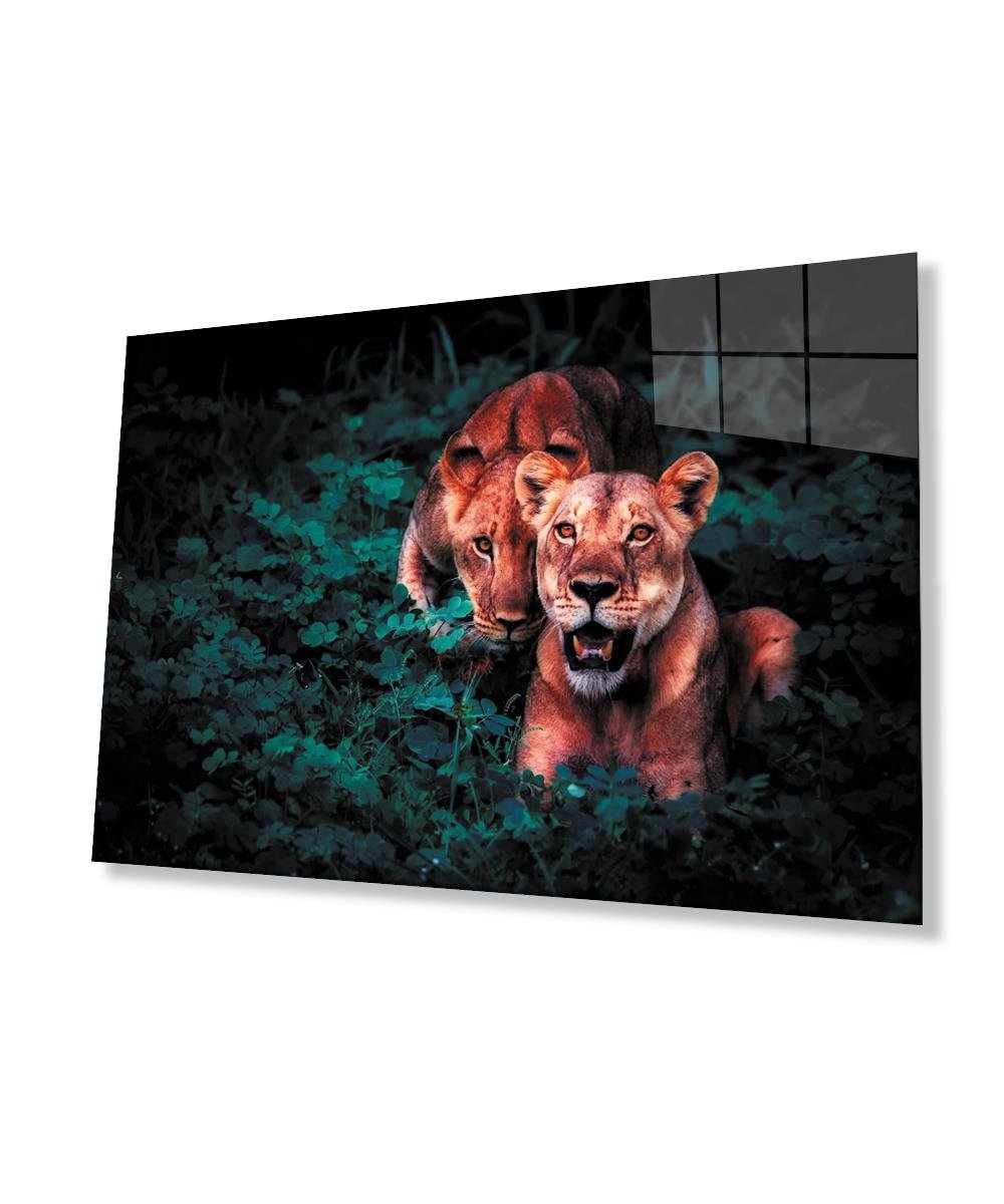 Aslan Cam Tablo  4mm Dayanıklı Temperli Cam