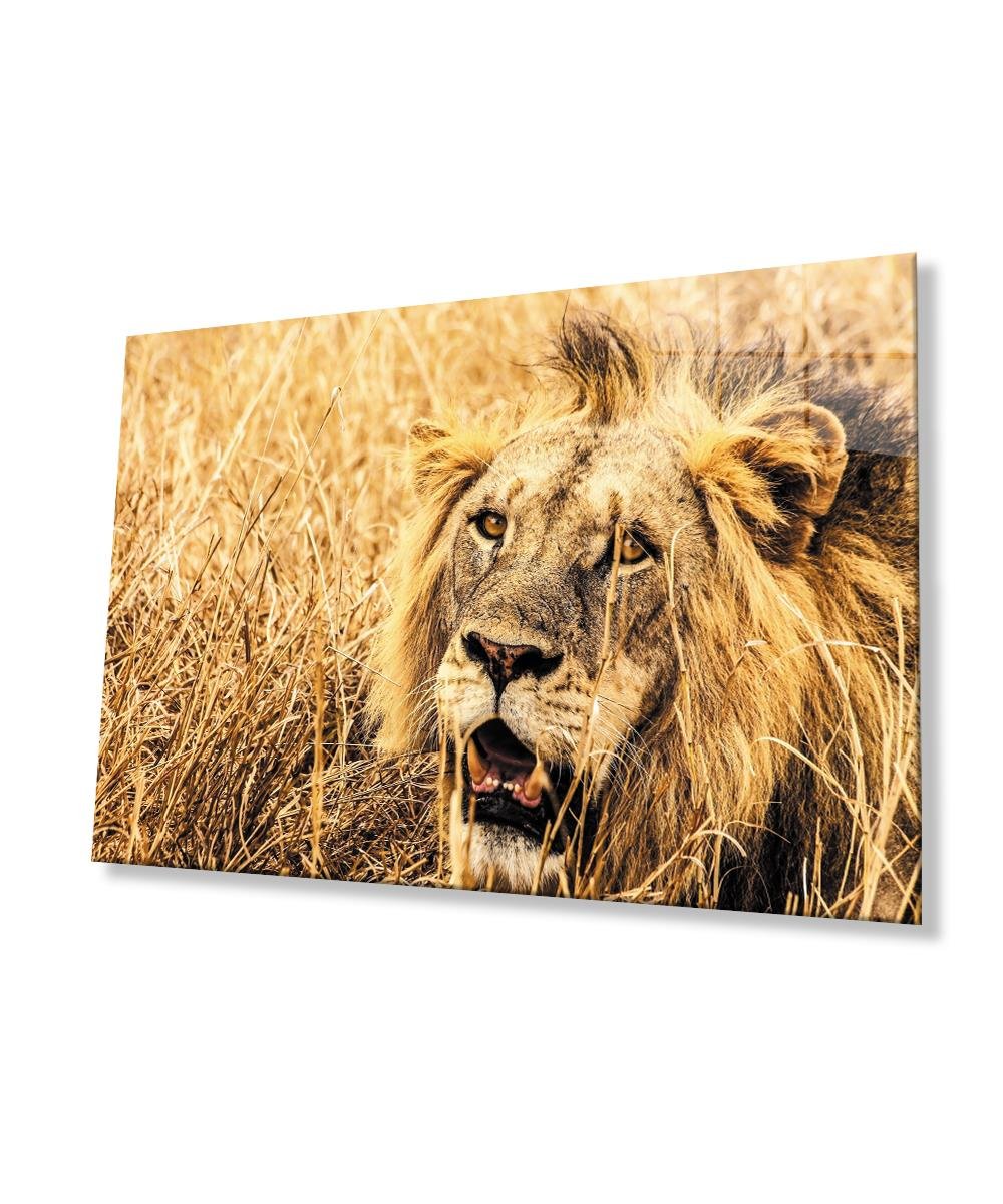 Aslan Cam Tablo  4mm Dayanıklı Temperli Cam