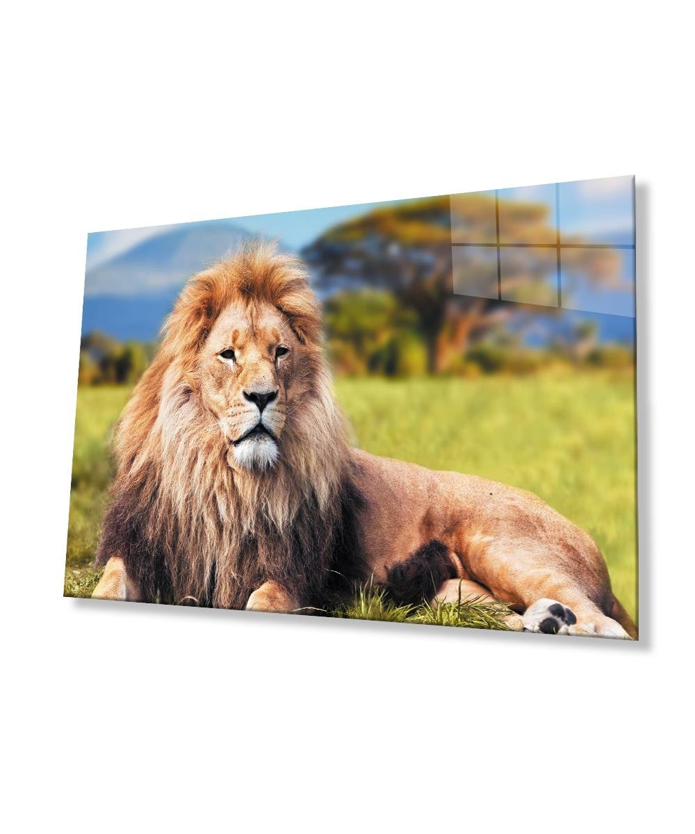 Aslan Cam Tablo  4mm Dayanıklı Temperli Cam
