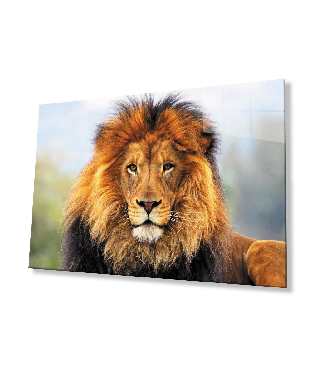 Aslan Cam Tablo  4mm Dayanıklı Temperli Cam