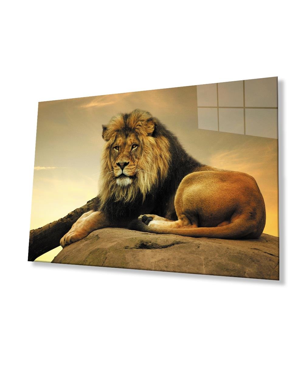 Aslan Cam Tablo  4mm Dayanıklı Temperli Cam