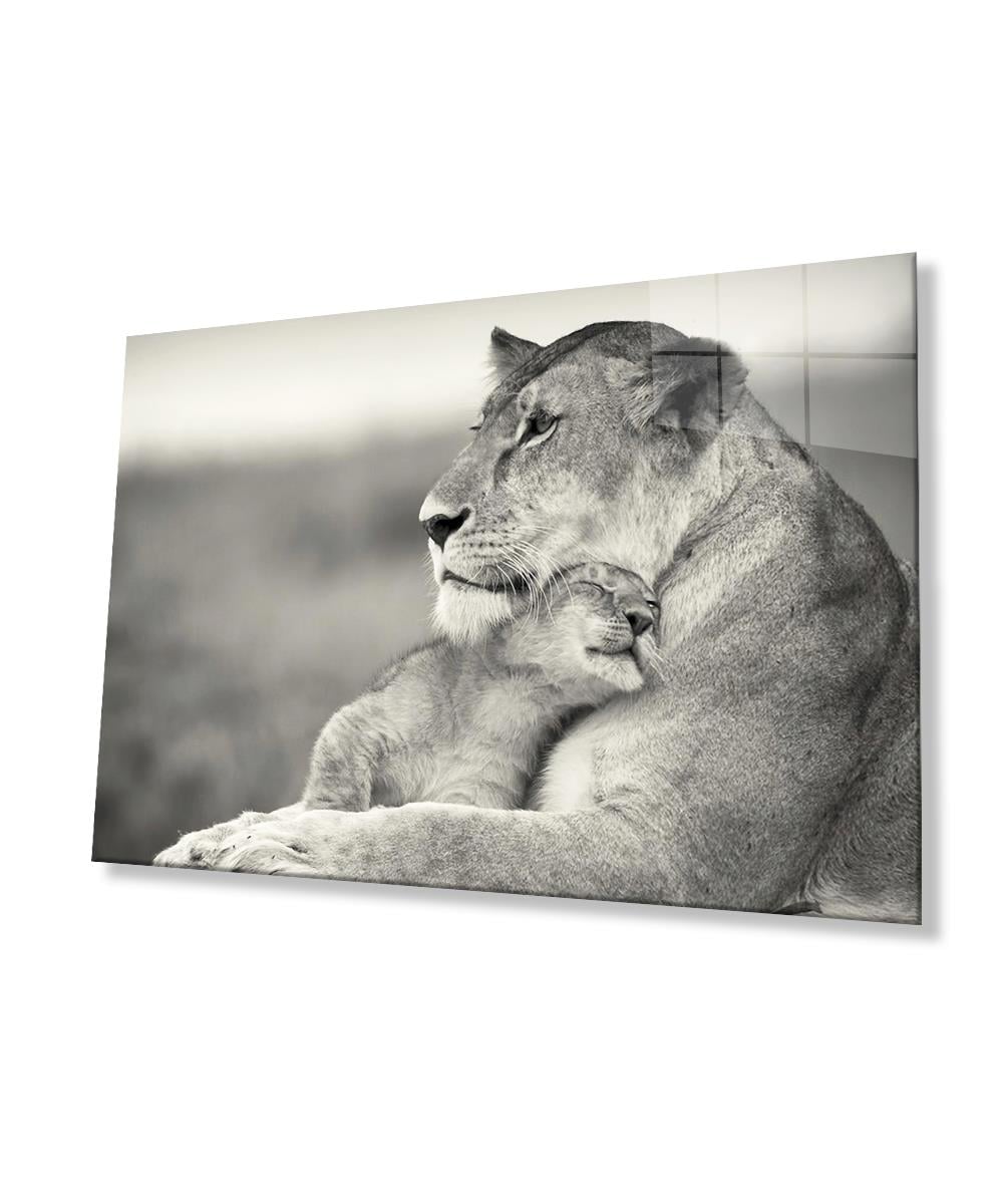 Aslan Cam Tablo  4mm Dayanıklı Temperli Cam