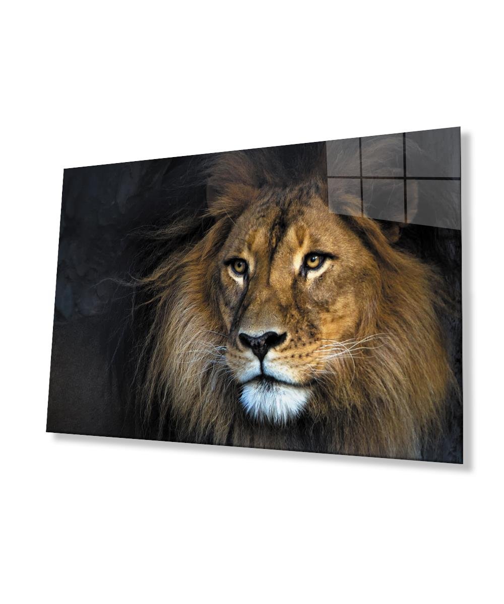 Aslan Cam Tablo  4mm Dayanıklı Temperli Cam