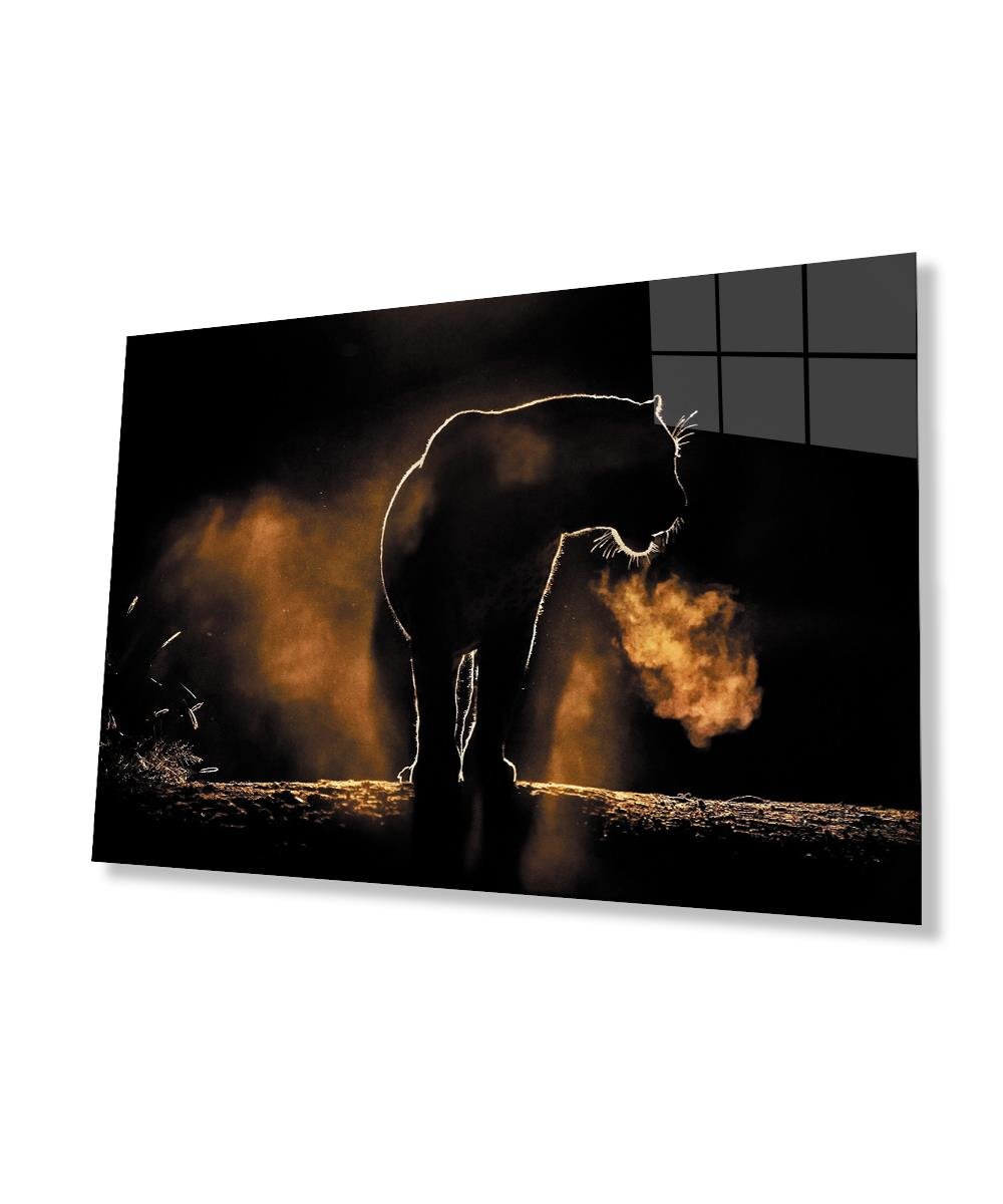 Aslan Cam Tablo  4mm Dayanıklı Temperli Cam