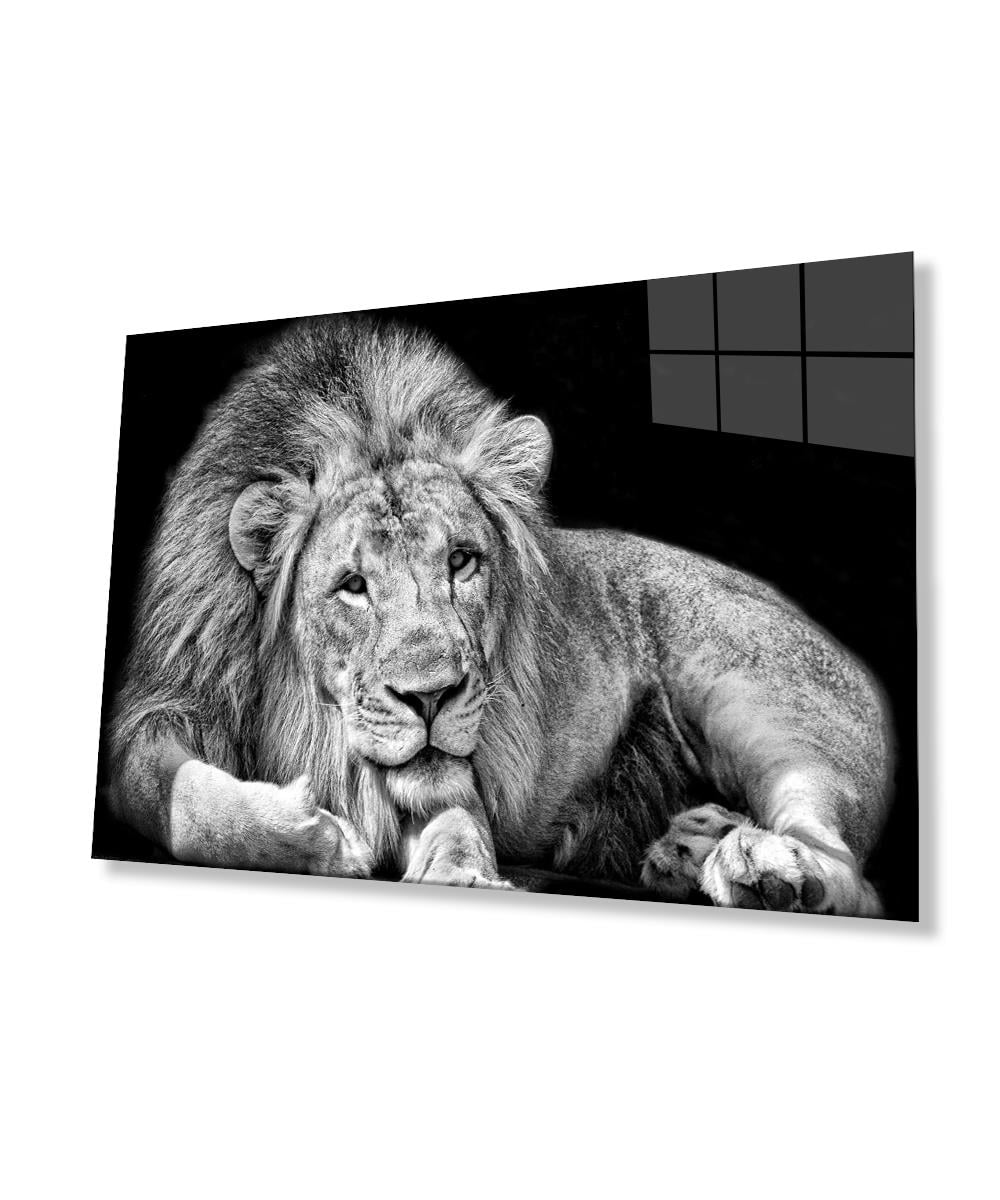 Aslan Cam Tablo  4mm Dayanıklı Temperli Cam