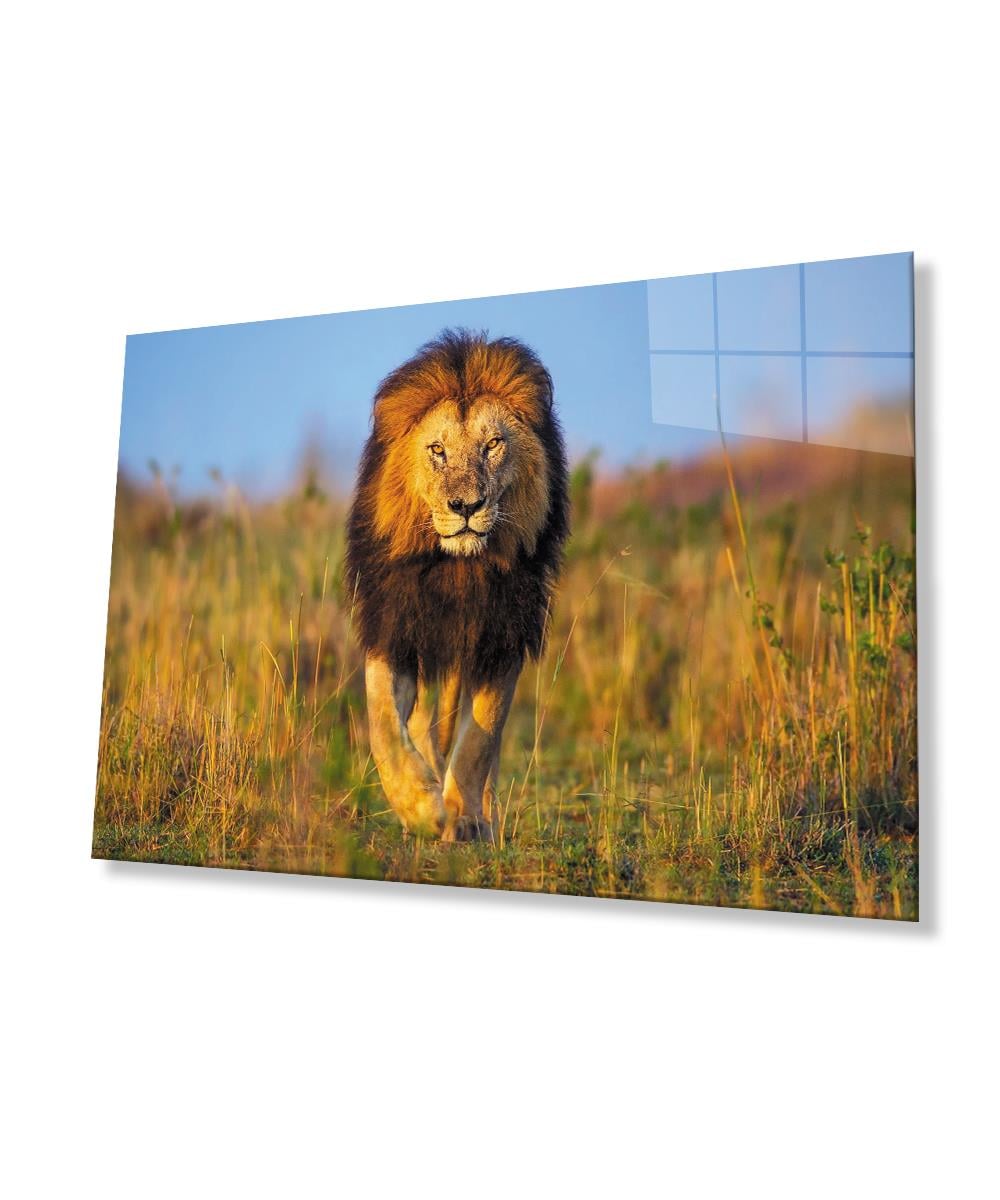 Aslan Cam Tablo  4mm Dayanıklı Temperli Cam
