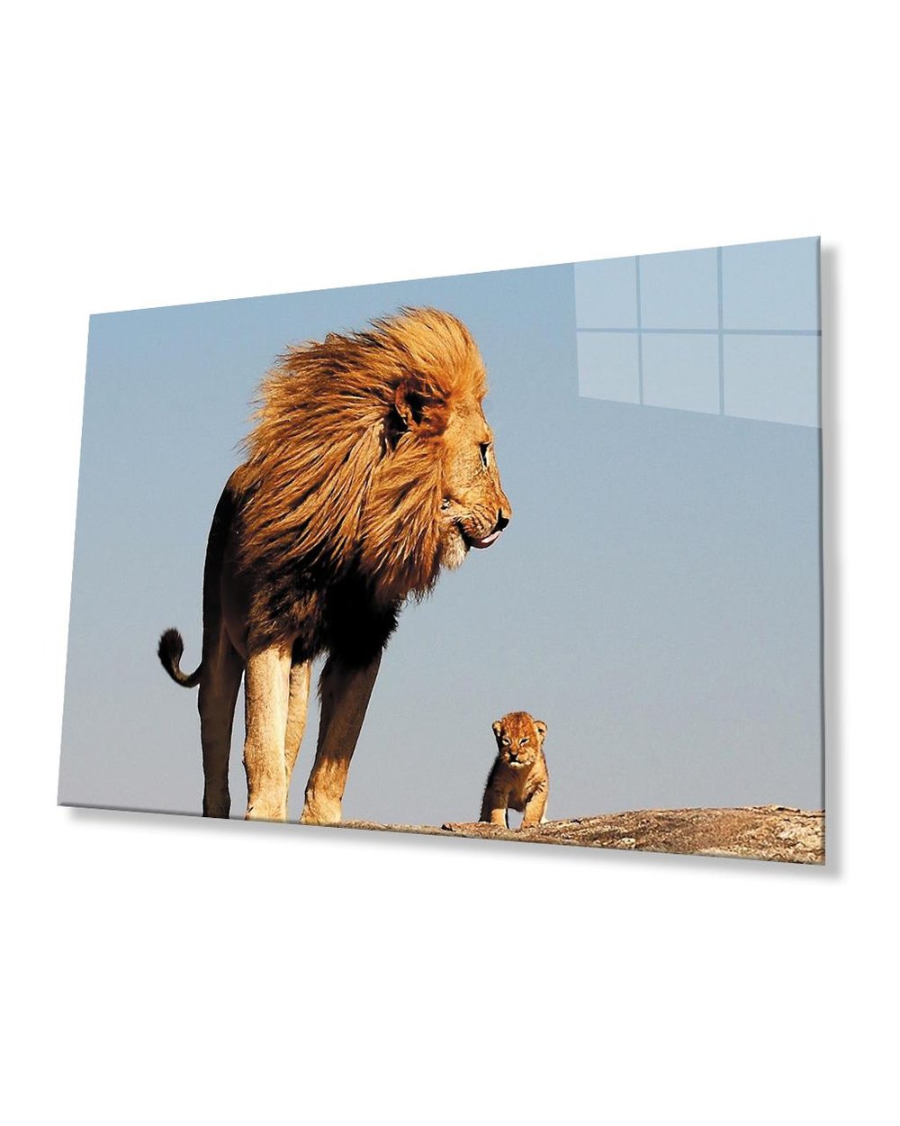 Aslan Cam Tablo  4mm Dayanıklı Temperli Cam Lion Glass Table 4mm Durable Tempered Glass