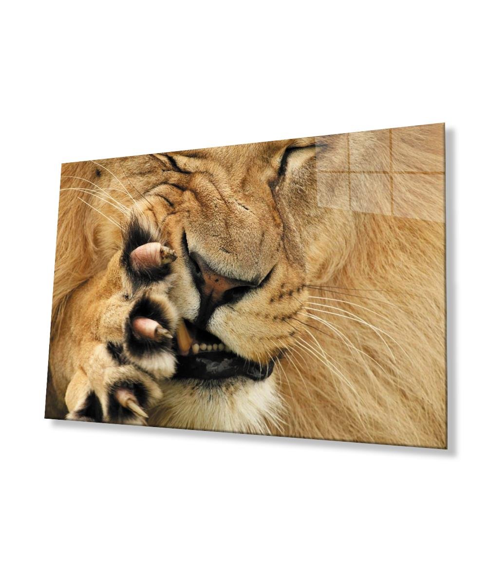 Aslan Cam Tablo  4mm Dayanıklı Temperli Cam