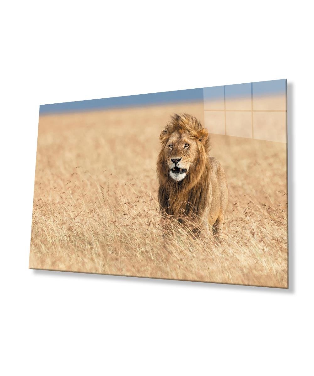 Aslan Cam Tablo  4mm Dayanıklı Temperli Cam