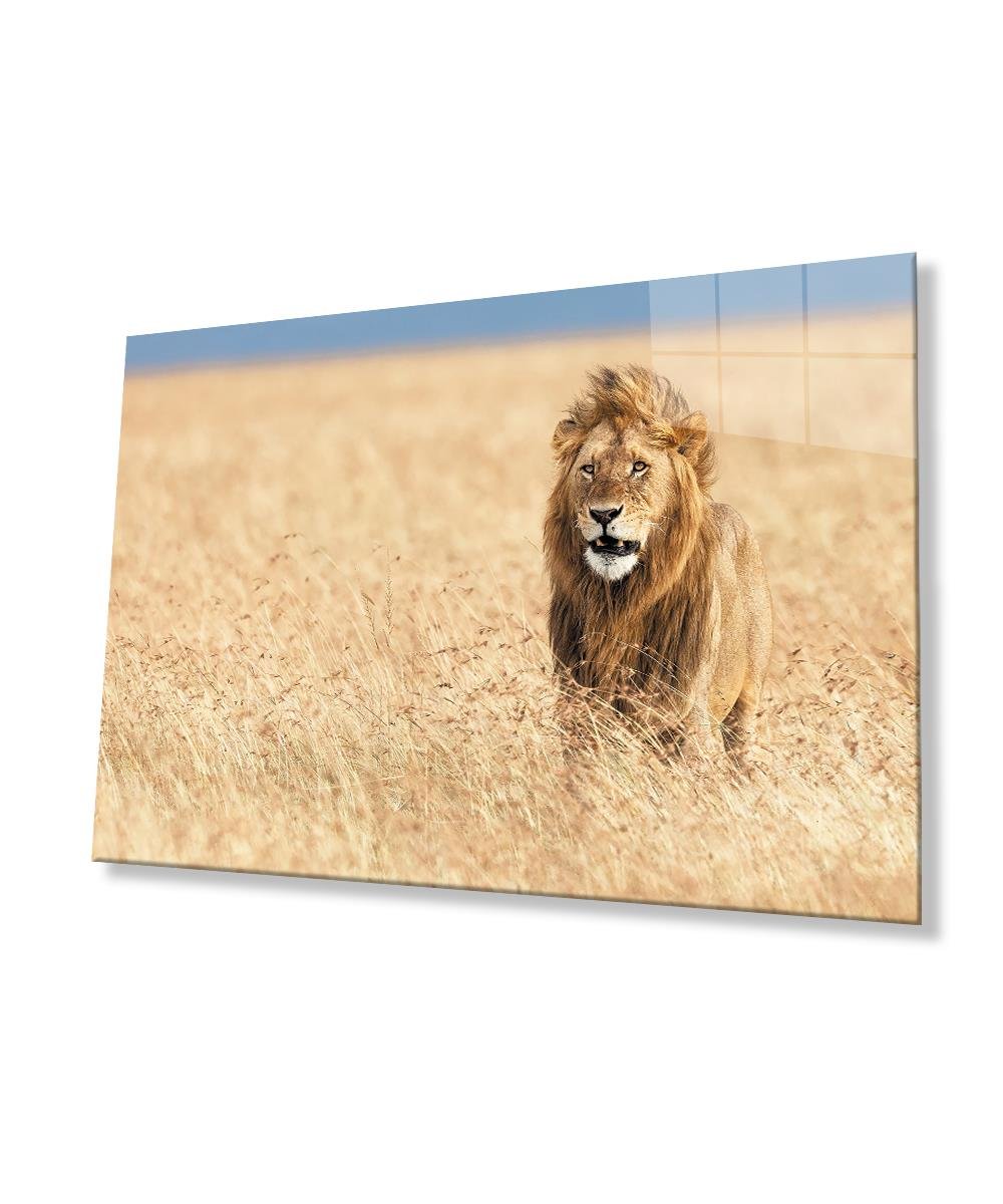 Aslan Cam Tablo  4mm Dayanıklı Temperli Cam