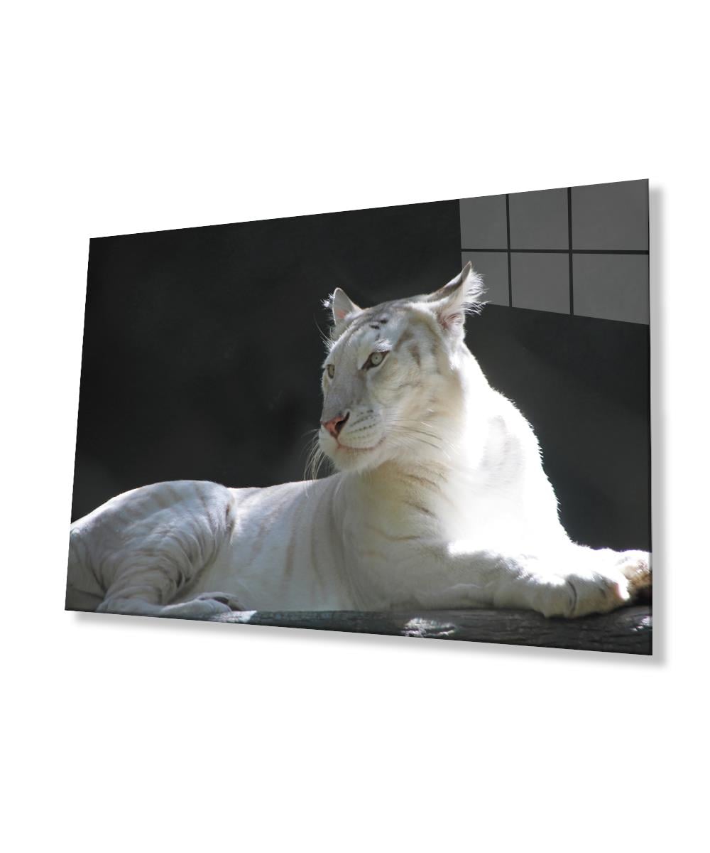 Aslan Cam Tablo  4mm Dayanıklı Temperli Cam