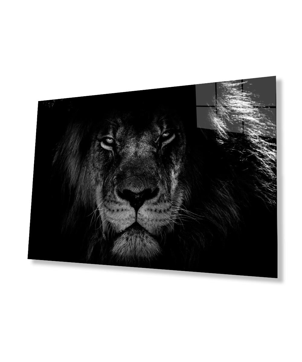Aslan Hayvan  Cam Tablo