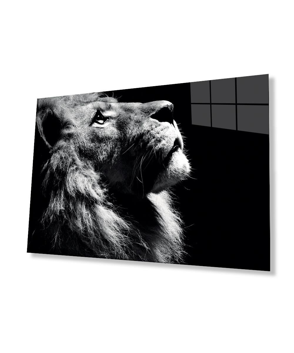 Aslan Hayvan  Cam Tablo