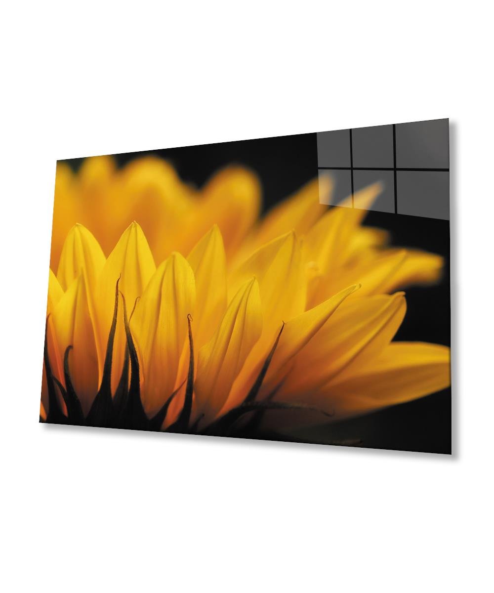 Ay Çiçeği Günebakan 4mm Dayanıklı Cam Tablo Temperli Cam , Sunflower Glass Wall Art