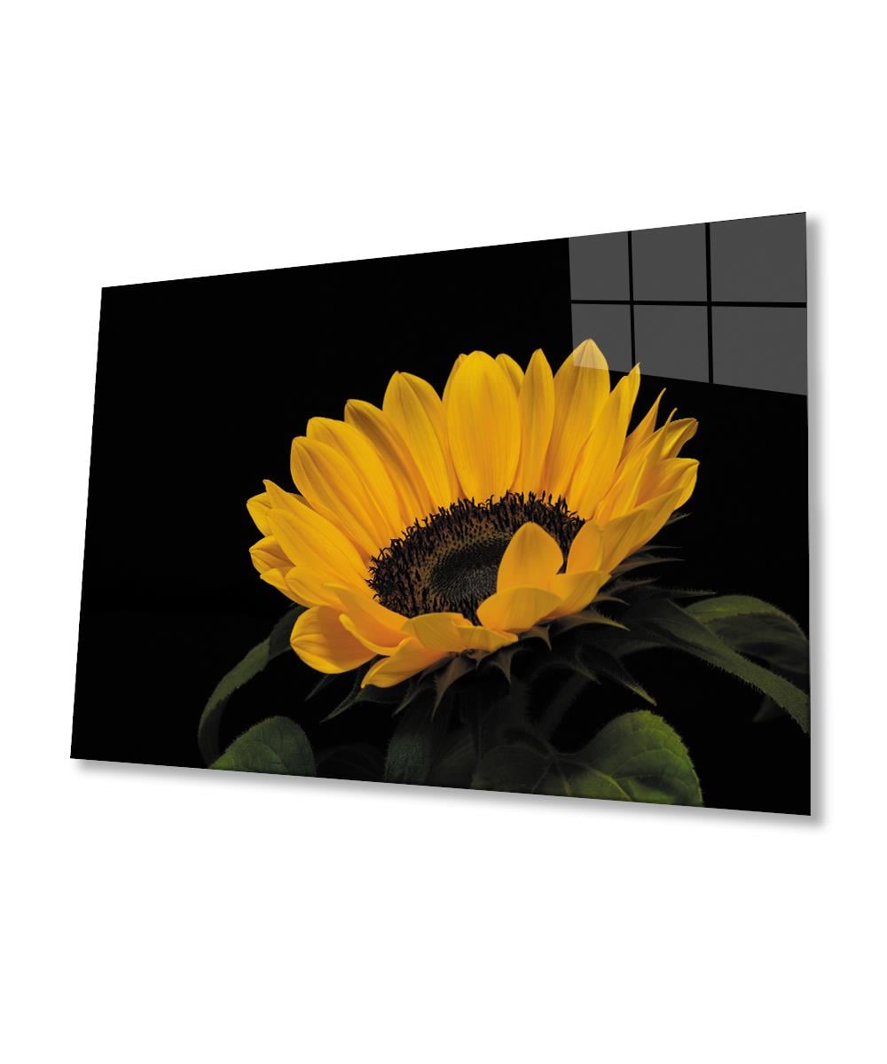 Ay Çiçeği Günebakan 4mm Dayanıklı Cam Tablo Temperli Cam , Sunflower Glass Wall Art