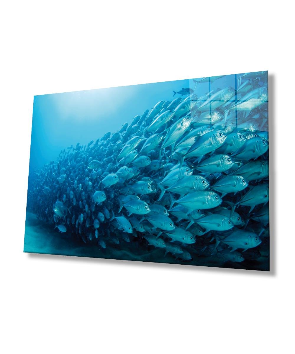 Balıklar Cam Tablo  4mm Dayanıklı Temperli Cam, Fishes Glass Wall Art